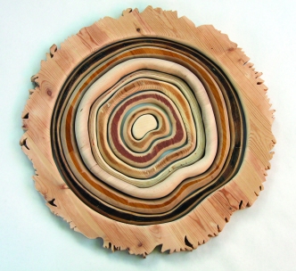 This piece uses salvaged wood to create a tree cookie and a fragmented sense of time.